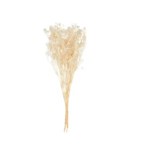 Baby's Breath Stems