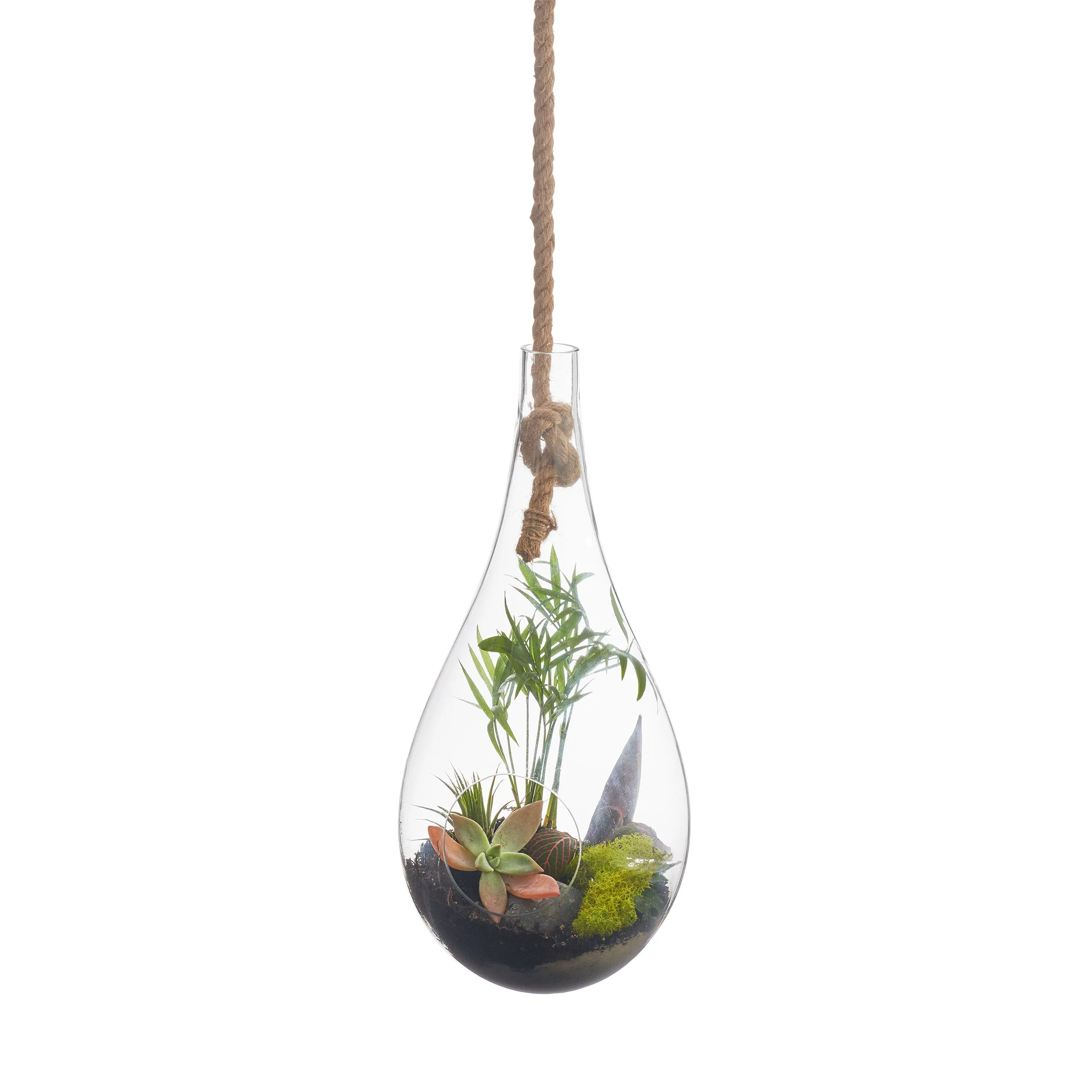 BOBOLI HANGING TERRARIUM
