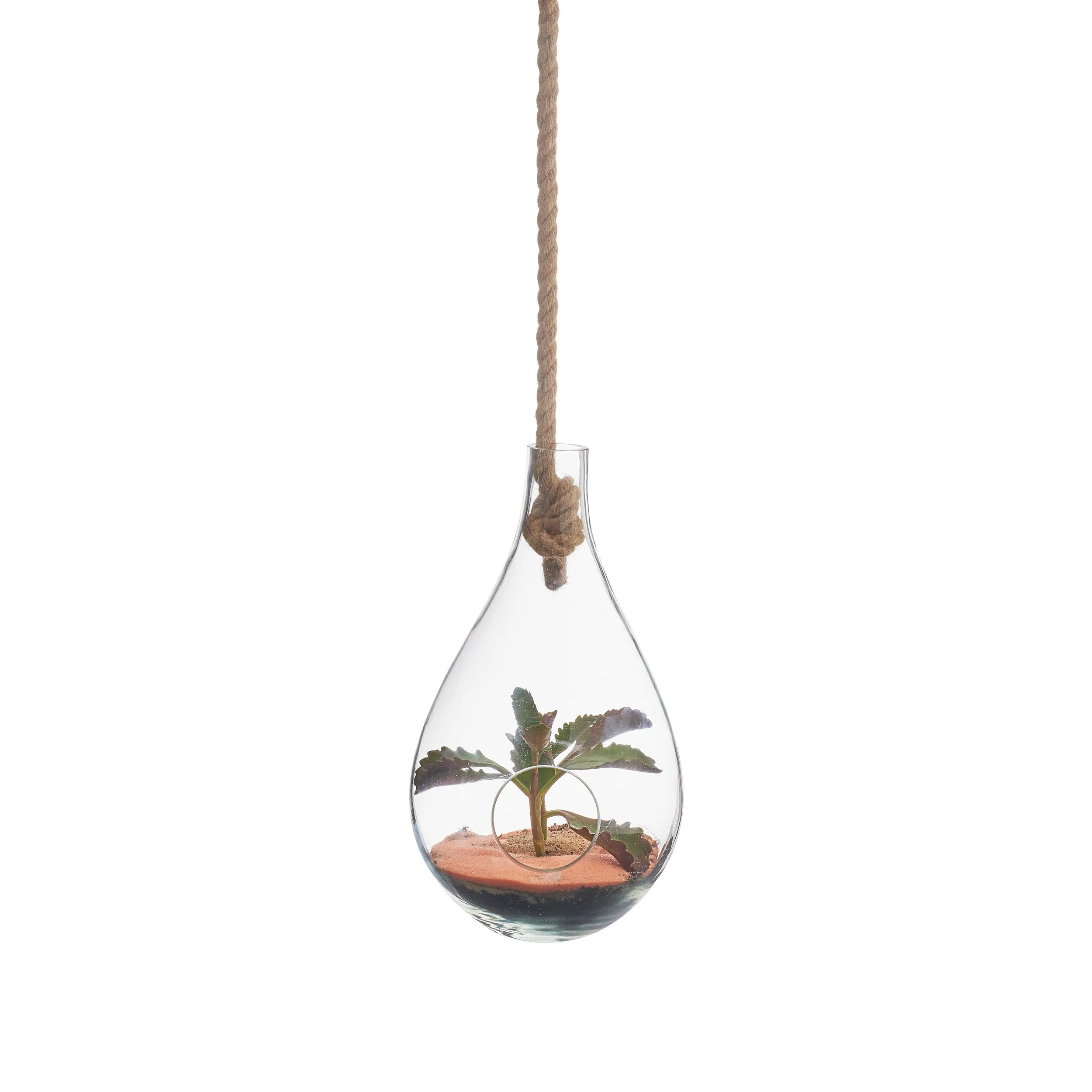 BOBOLI HANGING TERRARIUM