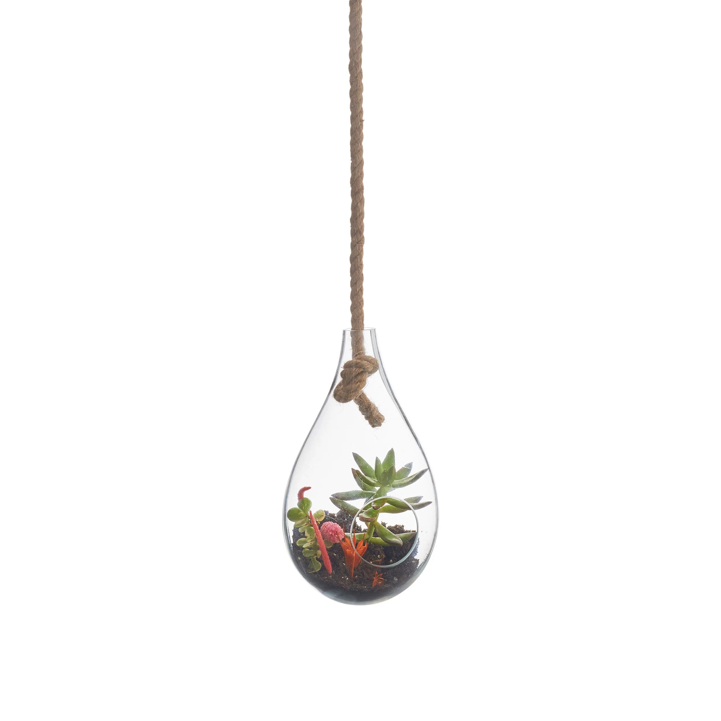 BOBOLI HANGING TERRARIUM