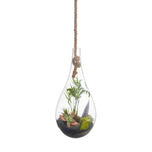 BOBOLI HANGING TERRARIUM