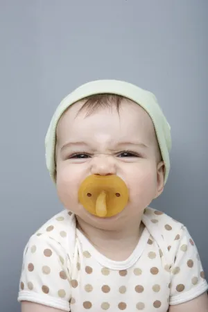 Butterfly Ortho Pacifier - 2 pack -Natursutten