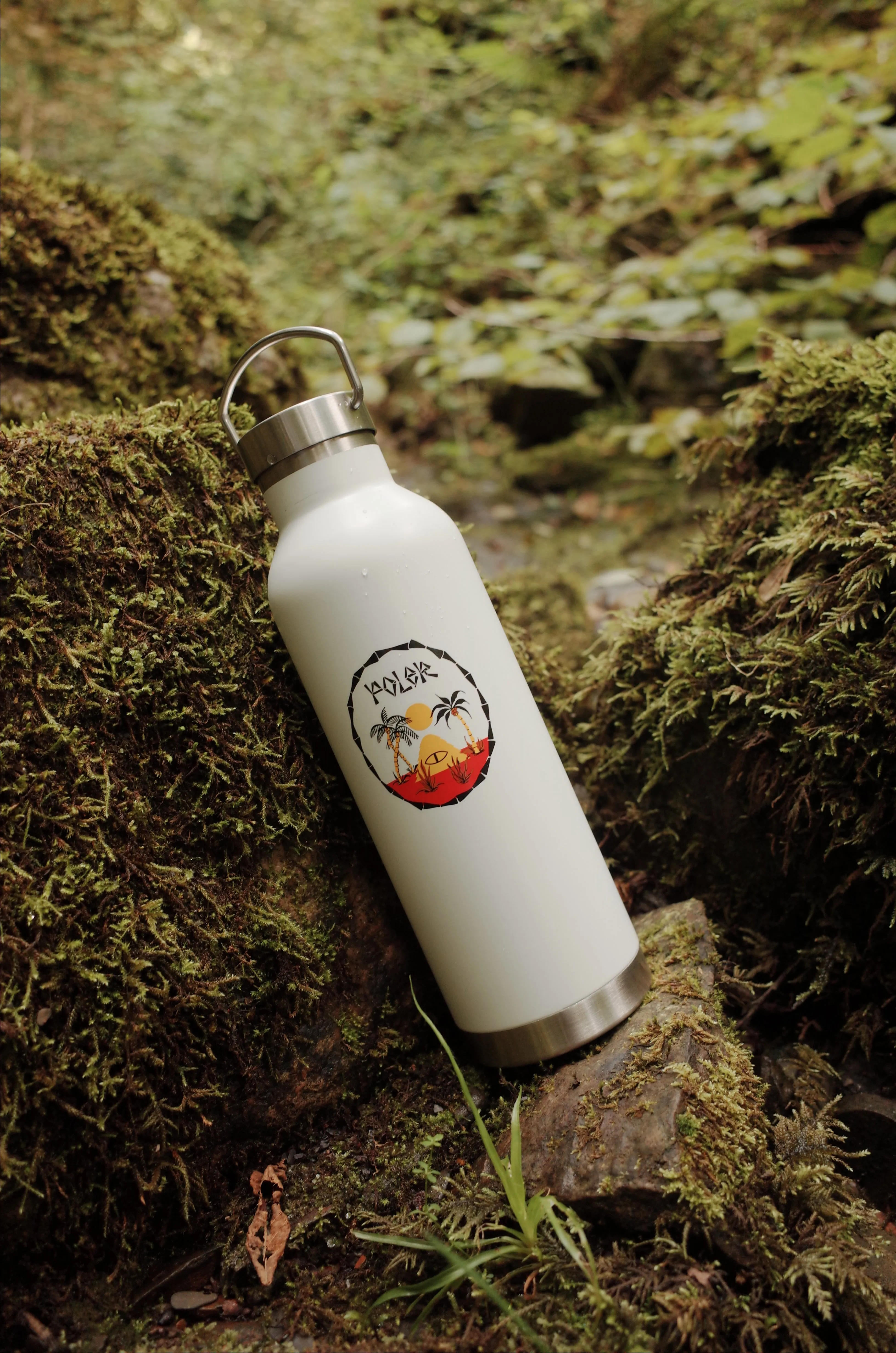 Insulated Water Bottle