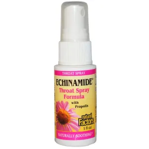 Natural Factors Echinamide, Throat Spray Formula With Propolis, 1 Fl Oz