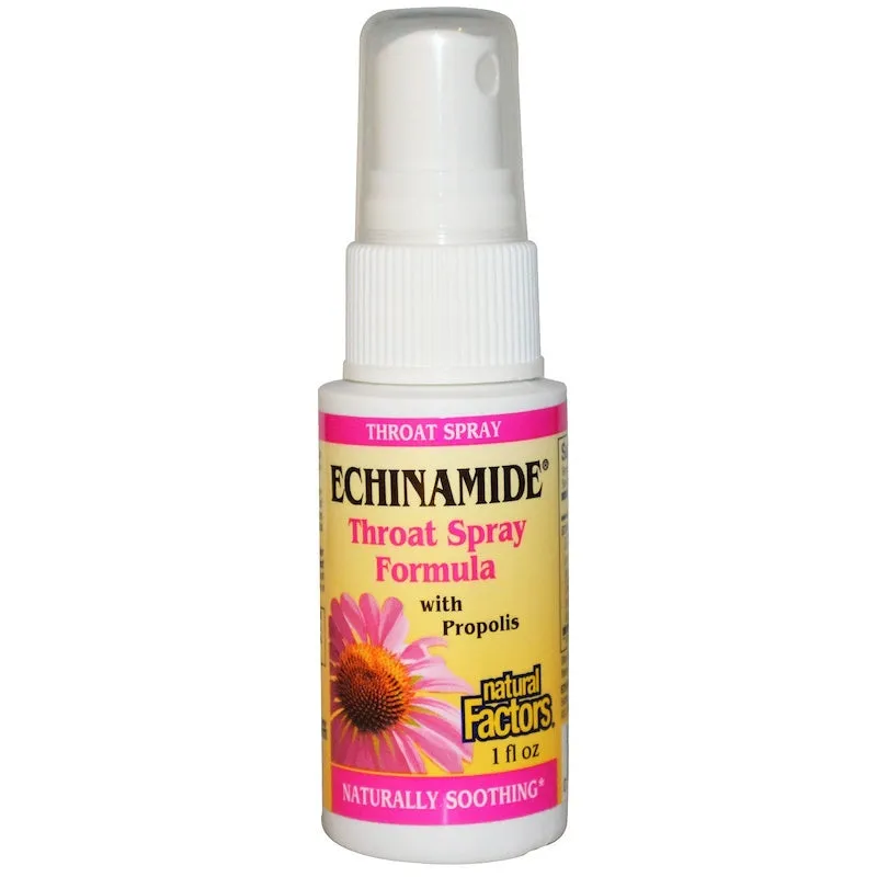 Natural Factors Echinamide, Throat Spray Formula With Propolis, 1 Fl Oz