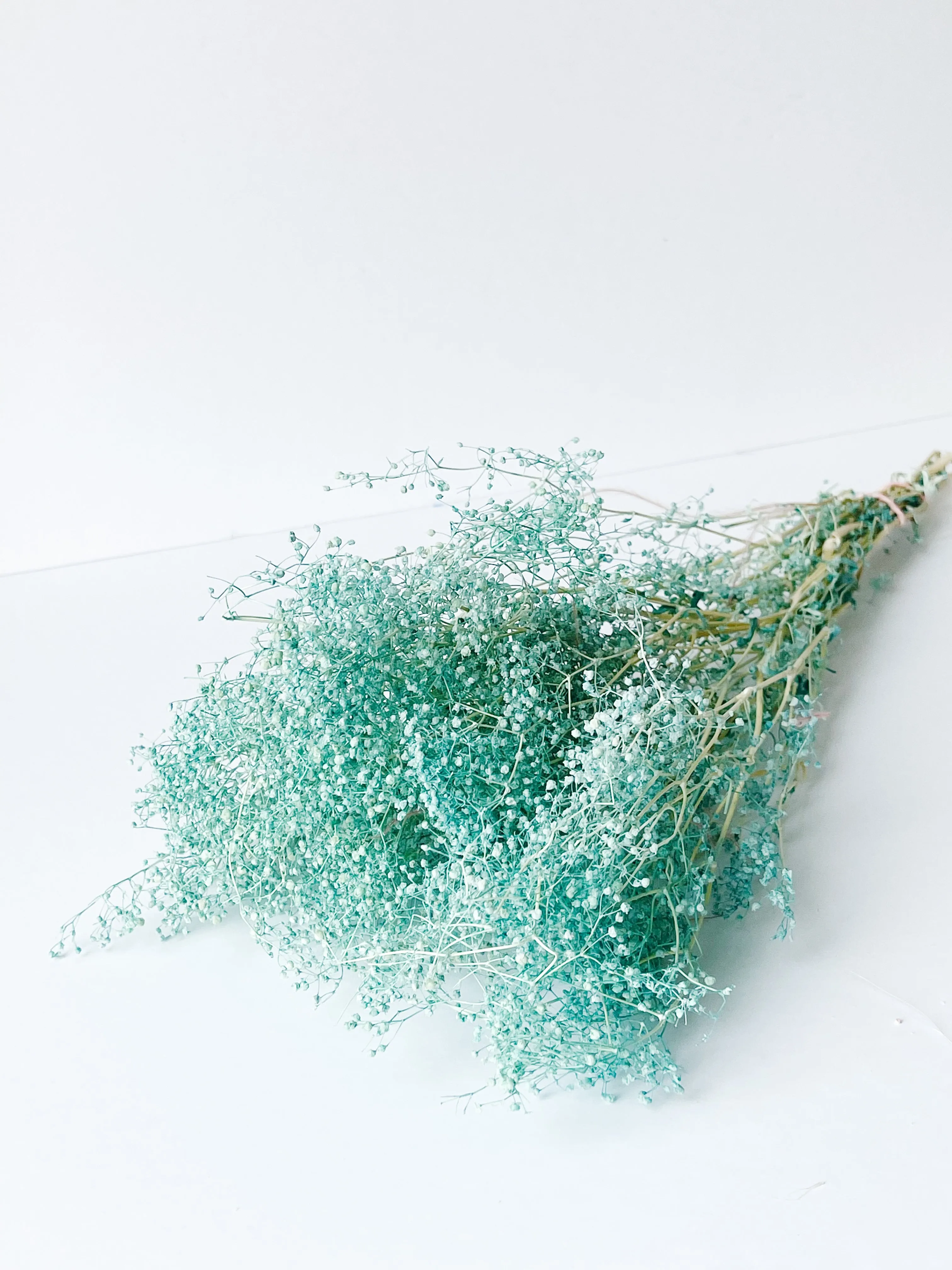Preserved Mini Baby's Breath