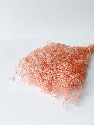 Preserved Mini Baby's Breath