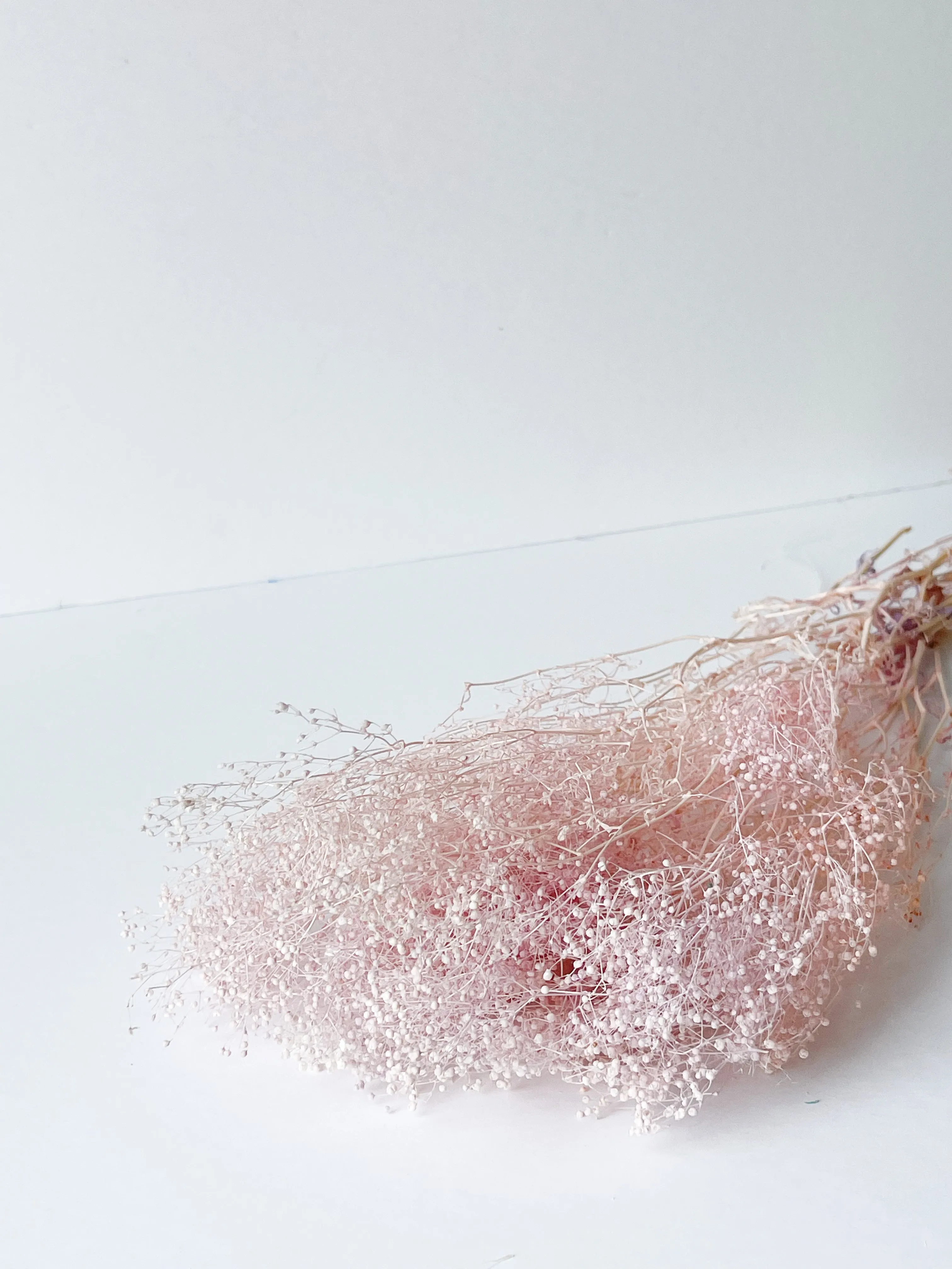 Preserved Mini Baby's Breath
