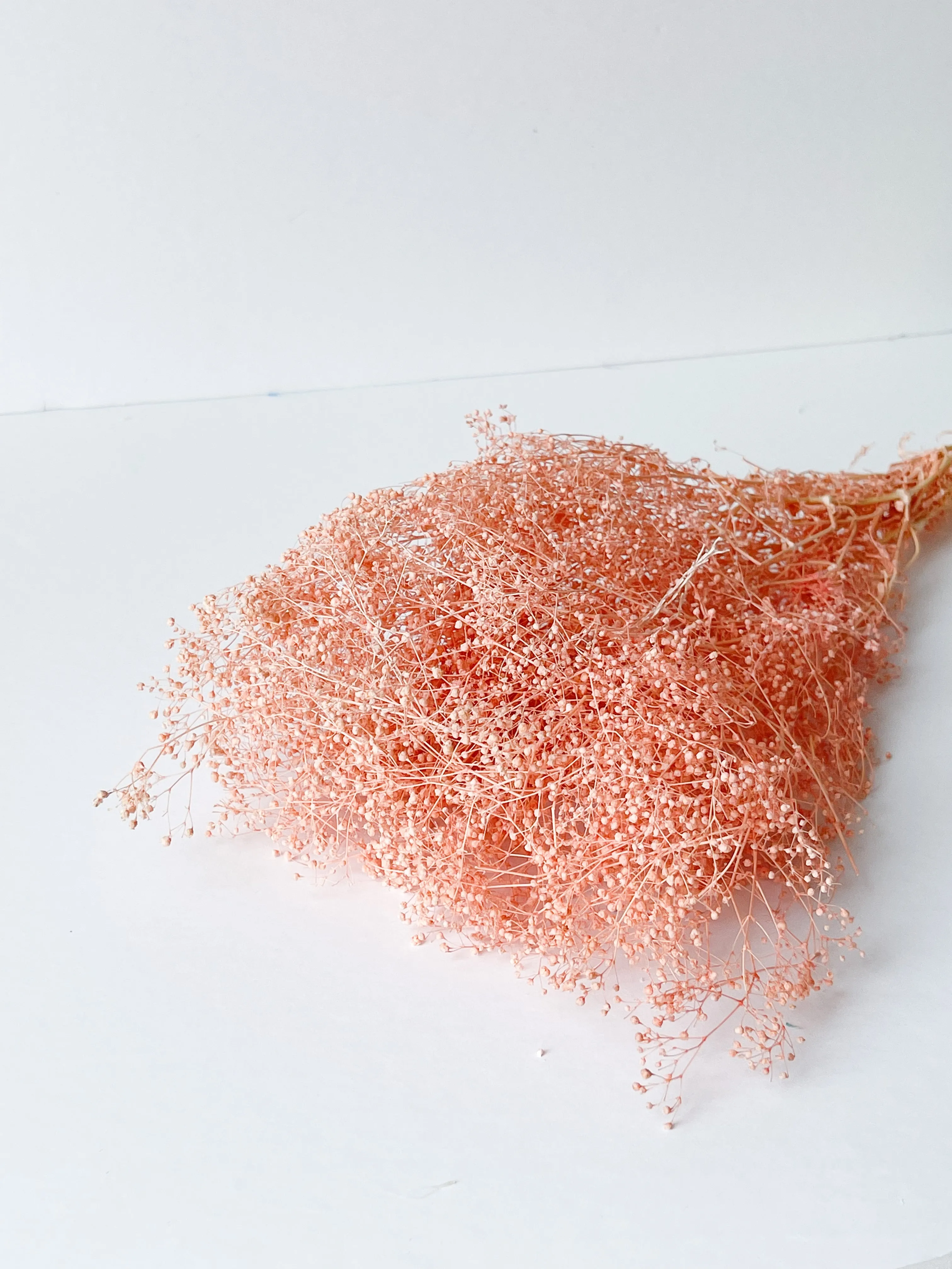 Preserved Mini Baby's Breath