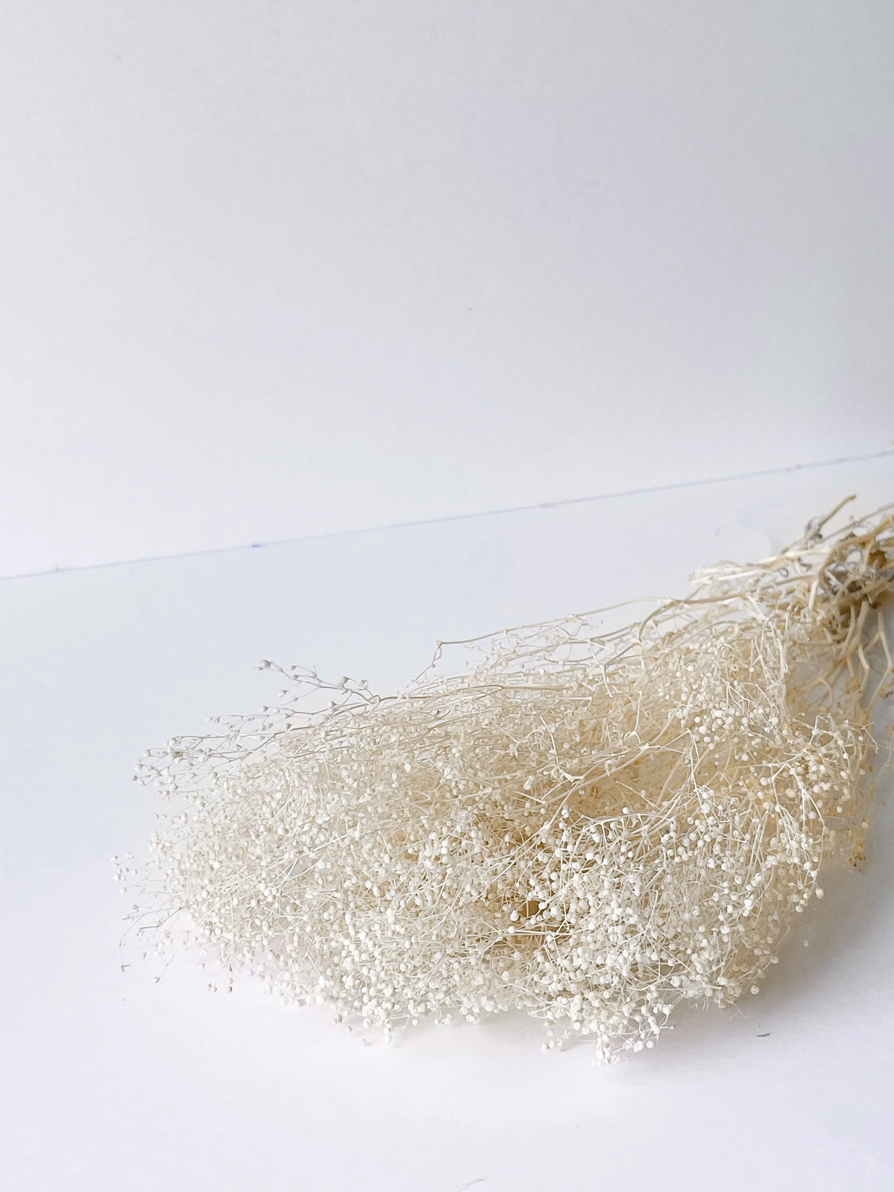 Preserved Mini Baby's Breath