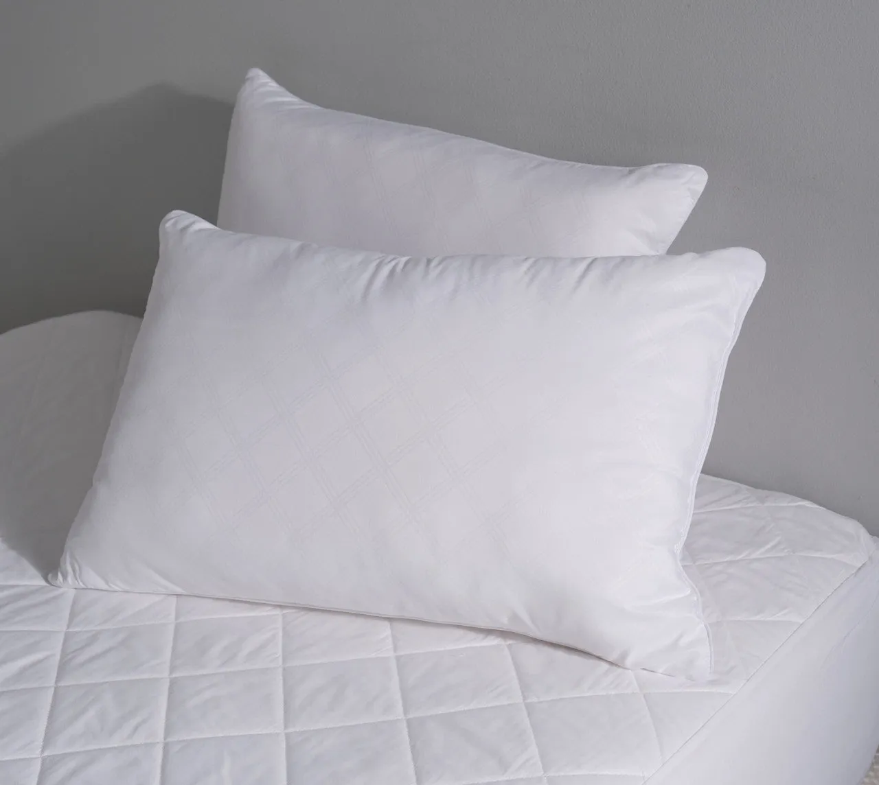 Robinsons Premium 2-Pack Pillow Anti-Bacterial Hypoallergenic Core Collection