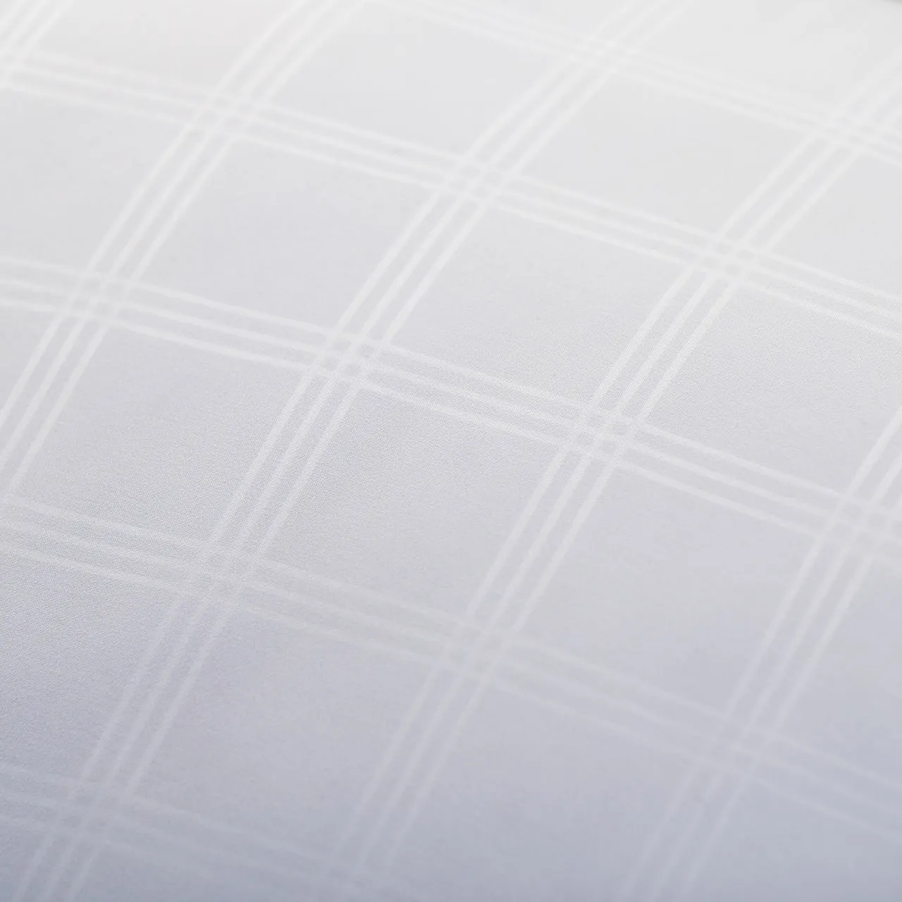 Robinsons Premium 2-Pack Pillow Anti-Bacterial Hypoallergenic Core Collection