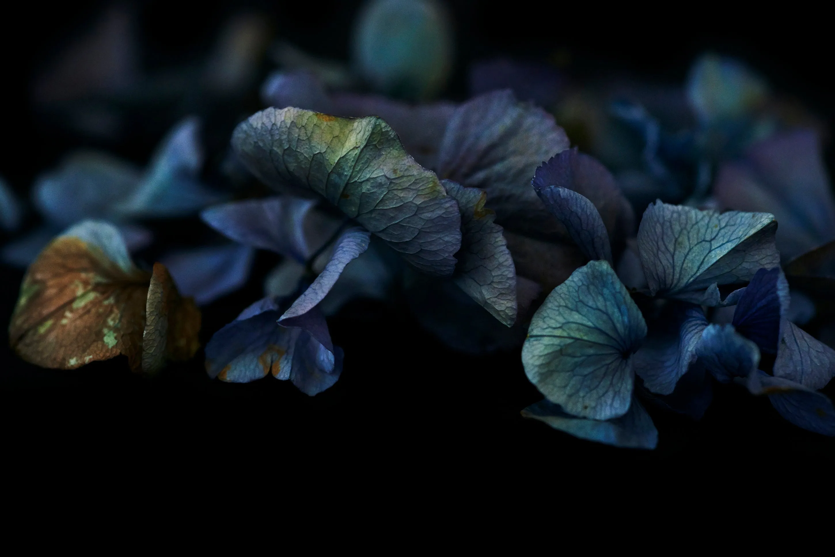 The Masters – Breath & Whispers
