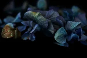 The Masters – Breath & Whispers