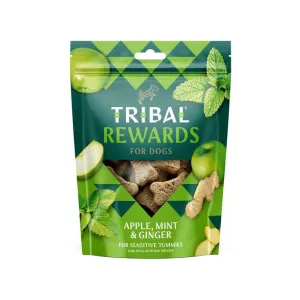 Tribal Baked Rewards Apple, Mint & Ginger Dog Biscuits
