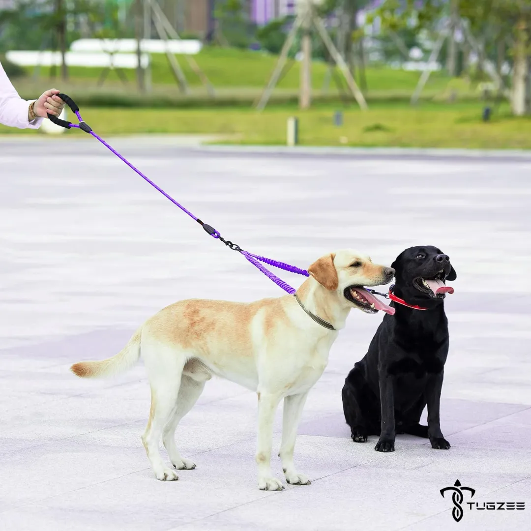 TUGZEE Dual Dog Leash with Shock Absorbing Reflective