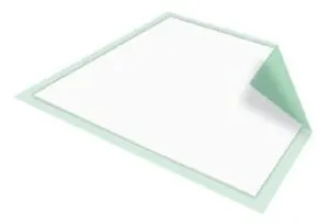 Upad Absorb 23X36 10Ea/Bg