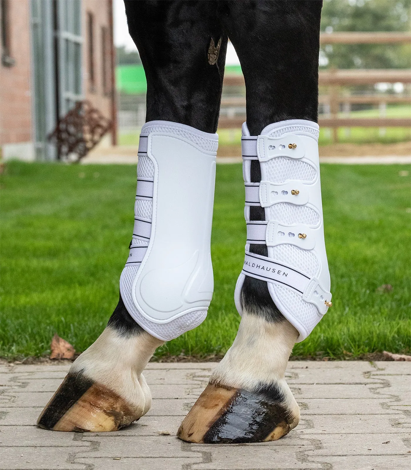 Waldhausen Breath dressurgamache