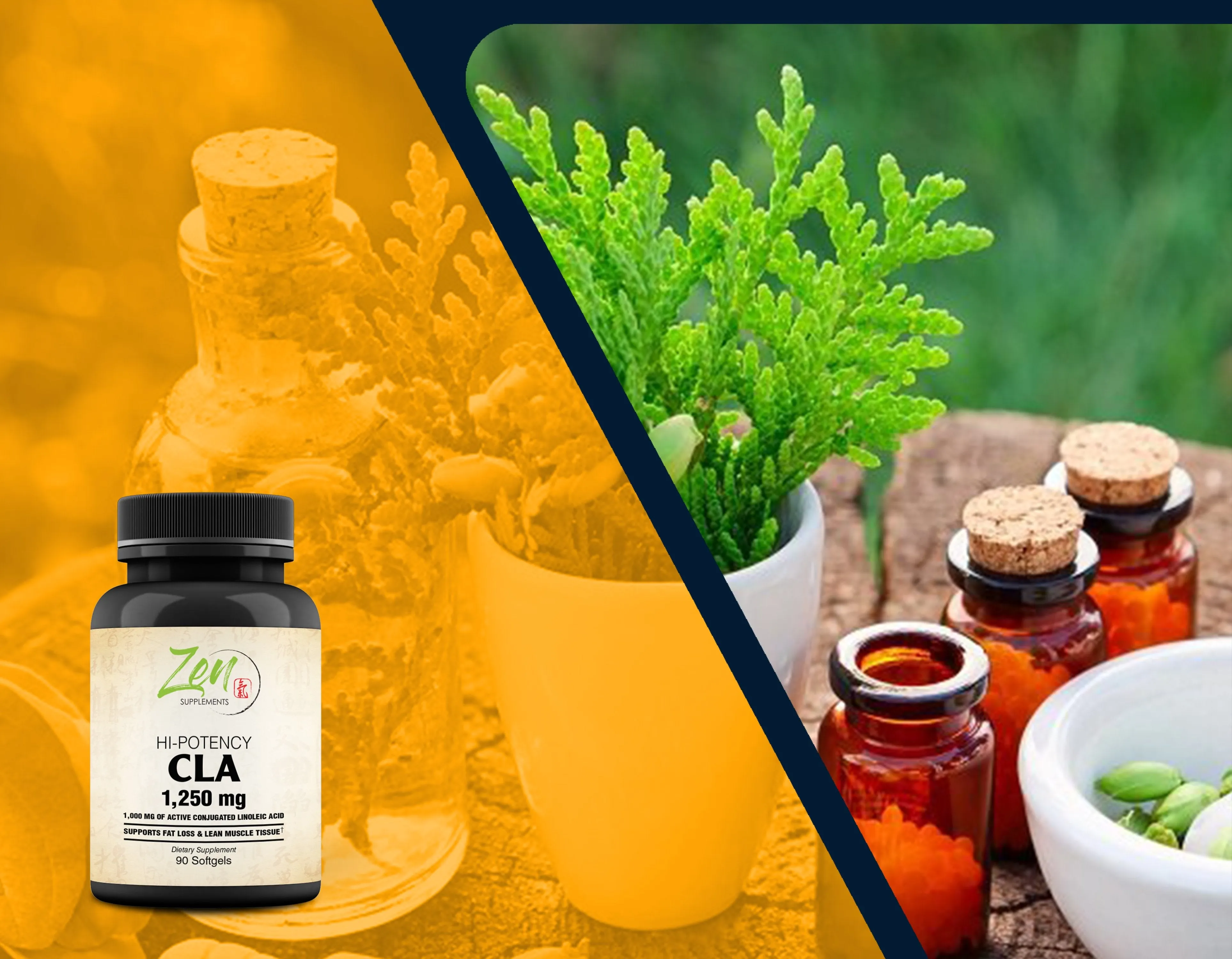 Zen Supplements - Hi Potency CLA 1,250Mg - Supports Healthy Weight Management - Promotes Lean Mass Muscles, Metabolism & Immune Health 90-Softgel